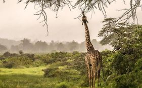 Hatari Lodge